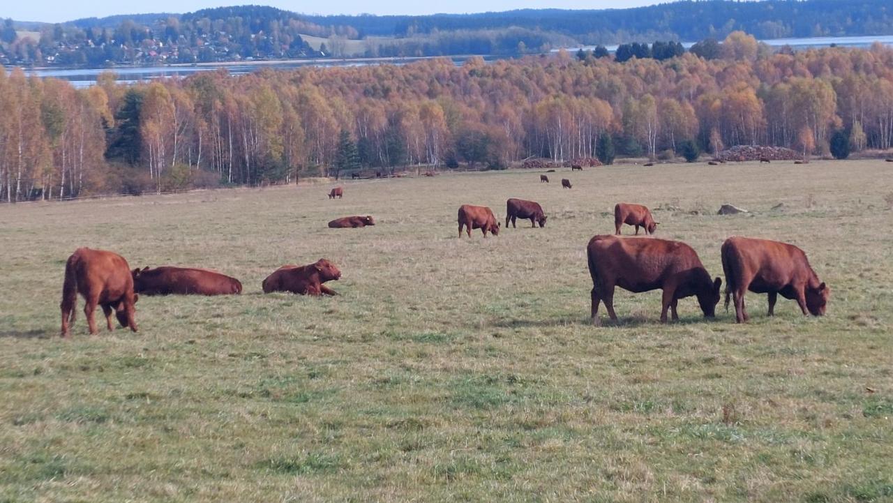 Apartmany Jura Nová Pec Eksteriør billede